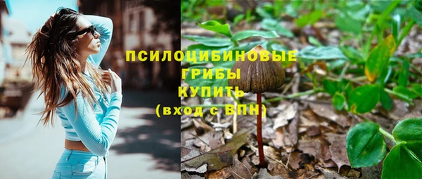 дурь Алексеевка