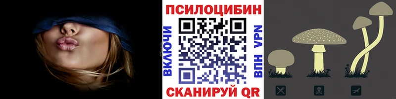 Псилоцибиновые грибы MAGIC MUSHROOMS  дарнет шоп  Тара 
