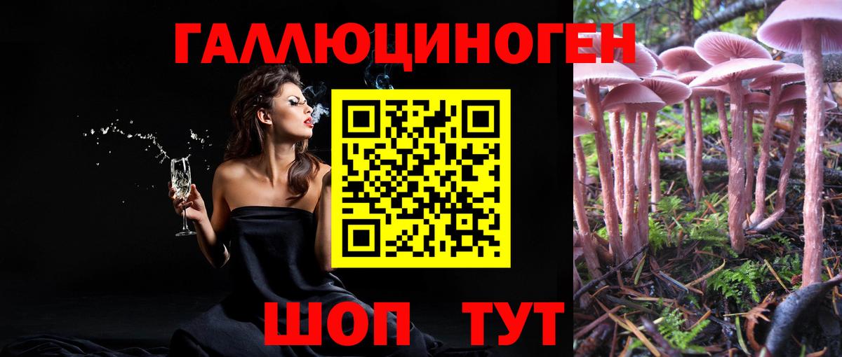 Галлюциногенные грибы прущие грибы  Вход с VPN  Псилоцибиновые грибы прущие грибы  Тара 