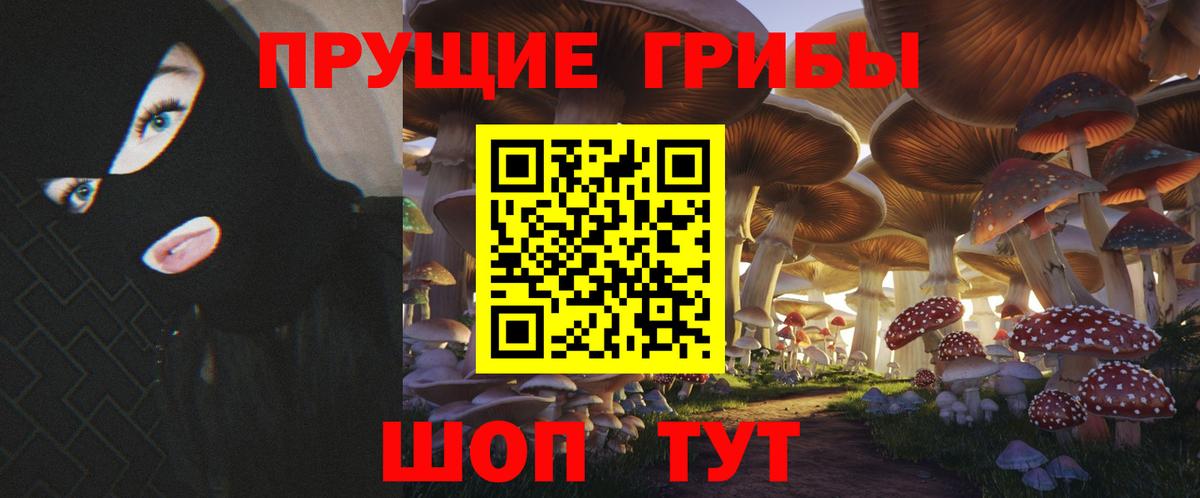 Псилоцибиновые грибы мицелий Тара